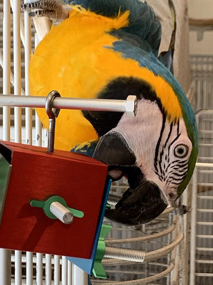 Busy Box Bird Foraging Toy | Interactive Treat Dispenser | Promotes Natural Foraging Behavior | Bird Cage Accessories for Medium to Extra Large Birds | Colorful Toys for Parrots, Cockatiel, Cockatoos