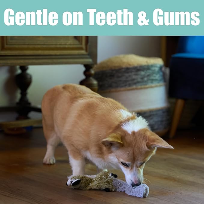 SPOT Skinneeez Raccoon 14 Inch Stuffing-Free Plush Dog Toy – Soft, Mess-Free Toy with One Squeaker for Small & Medium Dogs, Best for Light to Moderate Chewers