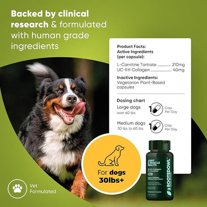 Rooted Owl Joint and Muscle Support for Large Dogs (Over 30 Lbs) - Supplement with UC-II Type II Collagen and L-Carnitine - 30 Count