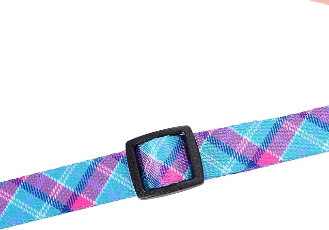 Mile High Life Dog Collar | Cute Puppy Collars | Lightweight Girl Dog Collar | Soft Boy Dog Collars | w Geometric Ocean Wavy Pattern (Green/Red, Small)