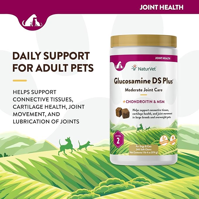 NaturVet  Glucosamine DS Plus - Level 2 Moderate Care  Supports Healthy Hip & Joint Function  Enhanced with Glucosamine, MSM & Chondroitin  for Dogs & Cats  240 Soft Chews