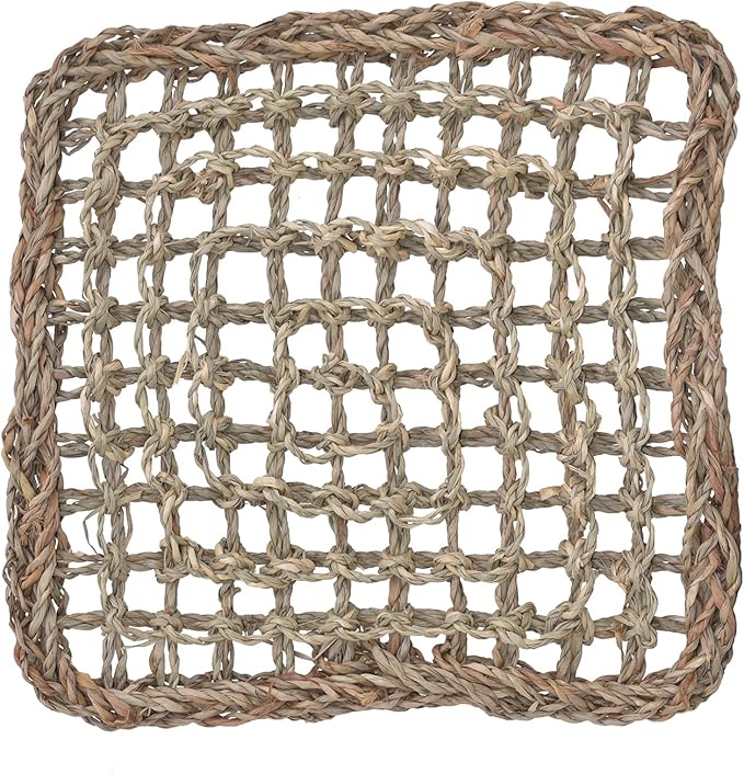 Super Bird Creations SB50003 Seagrass Mat for Cage Decor, Pet Enrichment and Boredom Relief - Versatile Toy-Making Base - Ideal for Parrots - Small to Large Birds & Reptiles - 10"x10" (1 Pack)