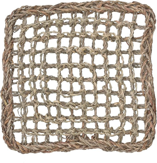 Super Bird Creations SB50003 Seagrass Mat for Cage Decor, Pet Enrichment and Boredom Relief - Versatile Toy-Making Base - Ideal for Parrots - Small to Large Birds & Reptiles - 10"x10" (1 Pack)