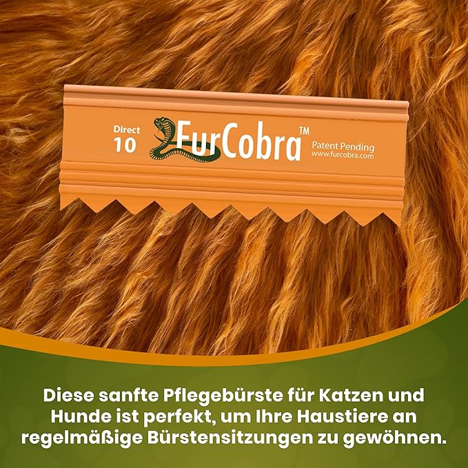 Direct 10 Pet Grooming Brush 3.54" - Gentle, No Metal Blades, Soft Dog, Cat Brush - Train Pets to be Brushed - Portable, Easy To Use Slicker Pet Grooming Tool for Dog, Cat, Puppy, Kitten Hair