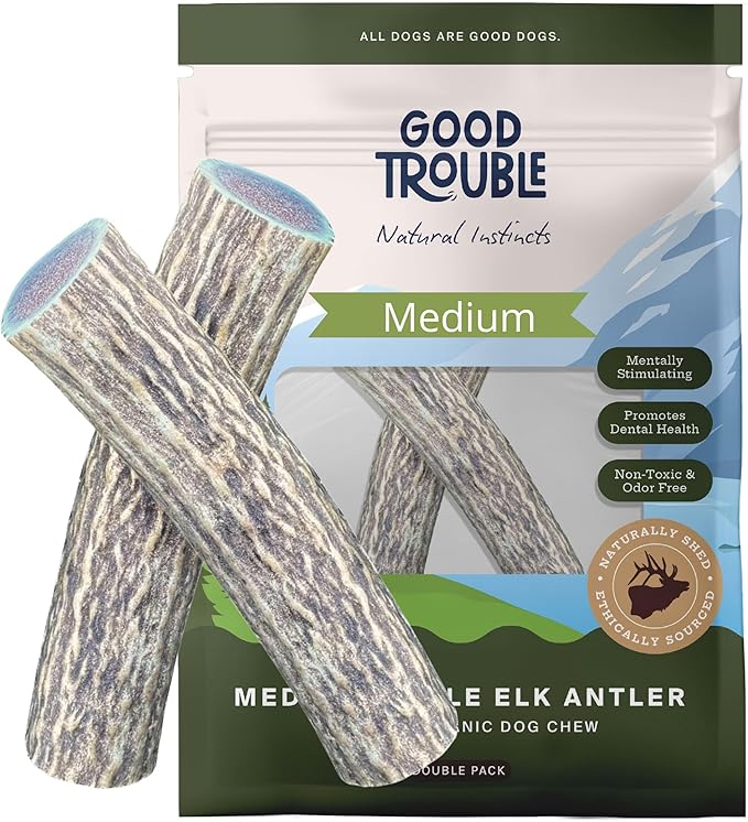 Good Trouble Pets Premium Elk Antlers for Medium Dogs - All-Natural, Shed Antler Chews for Dental Health & Calming - Durable Dog Bones for Aggressive Chewers - Cruelty-Free, North American Sourced