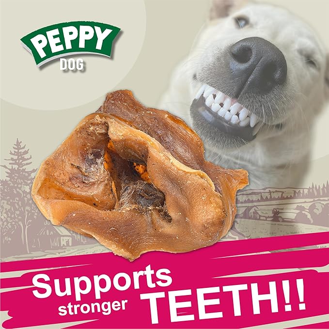 All Natural Pig Ear Slices Dog Treats (70oz) | Protein-Packed | No Preservatives | Promotes Dental Health | Hypoallergenic | Reduces Plaque and Tartar | Perfect Chewiness (70 oz (Pack of 1))