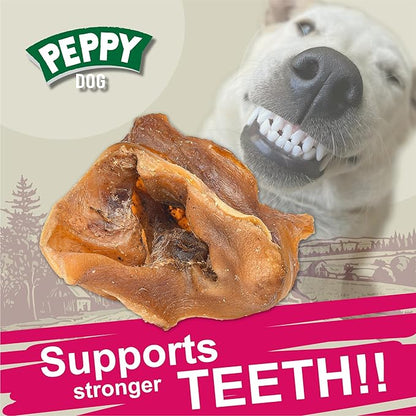 All Natural Pig Ear Slices Dog Treats (70oz) | Protein-Packed | No Preservatives | Promotes Dental Health | Hypoallergenic | Reduces Plaque and Tartar | Perfect Chewiness (70 oz (Pack of 1))