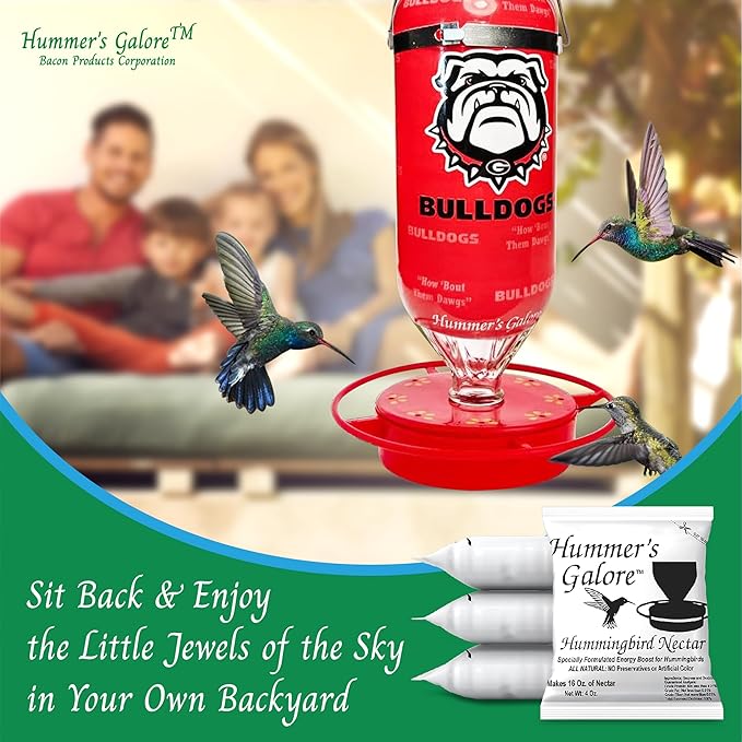 Hummer's Galore Made in USA Hummingbird Food - Ready-to-Mix Hummingbird Nectar, All-Natural Nectar Collector Formula, No Preservatives or Dyes, Makes 64 Ounces (4 Packets Included)