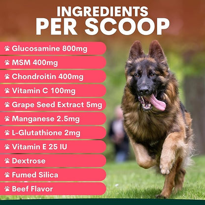 Petz Park Glucosamine for Dogs - Hip & Joint Support Powder with Chondroitin & MSM - Arthritis Pain Relief, Hip Dysplasia Treatment - 800mg Glucosamine - 90 Scoops