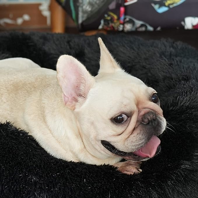 Black Dog Bed for Small Dogs Washble Calming Dog Bed for Small Dogs 23 Inch Fluffy Plush Black Dog Bed Round Donut Machine Washable Small Pet Bed.