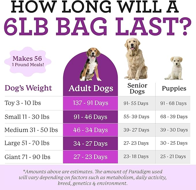 Dr. Harvey's Paradigm Green Superfood Dog Food, Human Grade Dehydrated Grain Free Base Mix for Dogs, Diabetic Low Carb Ketogenic Diet (Trial Size 5.5 oz)