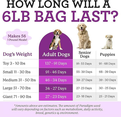 Dr. Harvey's Paradigm Green Superfood Dog Food, Human Grade Dehydrated Grain Free Base Mix for Dogs, Diabetic Low Carb Ketogenic Diet (Trial Size 5.5 oz)