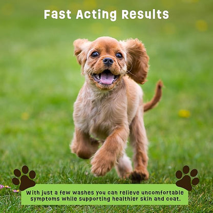 Dogs Plus Vitamin C Dog Shampoo | All Natural Dermatitis, Demodex Mange, & Hot Spot Treatment for Dogs | Fast and Effective Itch Relief (6 oz)