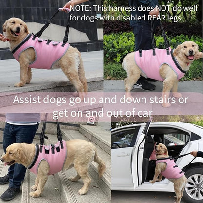 Dog Lift Harness, Recovery Sling Support Vest Stair Lift for Front Legs Only, Mobility Carrier with Handle for Senior, Elderly, Disabled, Joint Injuries, Arthritis, Paralysis- Large