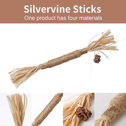 PAZ'S GIFT Catnip Toy Cat Toys Catnip Toy cat chew Toy cat Kicking silvervine Stick Teeth Cleaning Cute Kitten Teething Indoor Interactivecat Dental Care Matatabi (Raffia 2pcs)