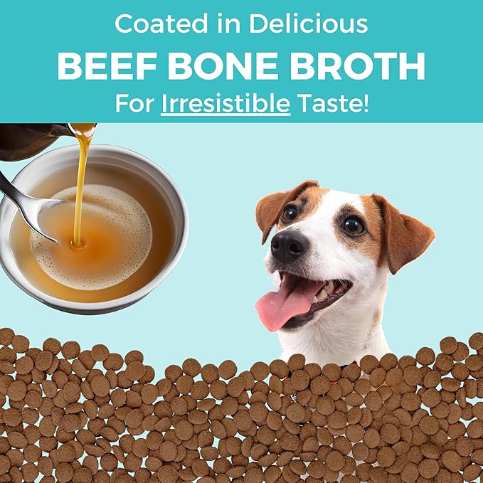 KOHA Limited Ingredient Bland Diet Dry Food for Dogs - Beef & Brown Rice Recipe, Sensitive Stomach Dog Food - Pumpkin for Digestive Support, 3.5 lbs