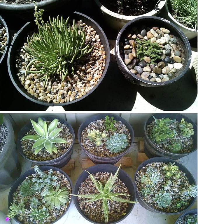 Voulosimi 18 LBS River Rock Stones, Natural Decorative Polished Mixed Pebbles Gravel,Outdoor Decorative Stones for Plant Aquariums, Landscaping, Vase Fillers