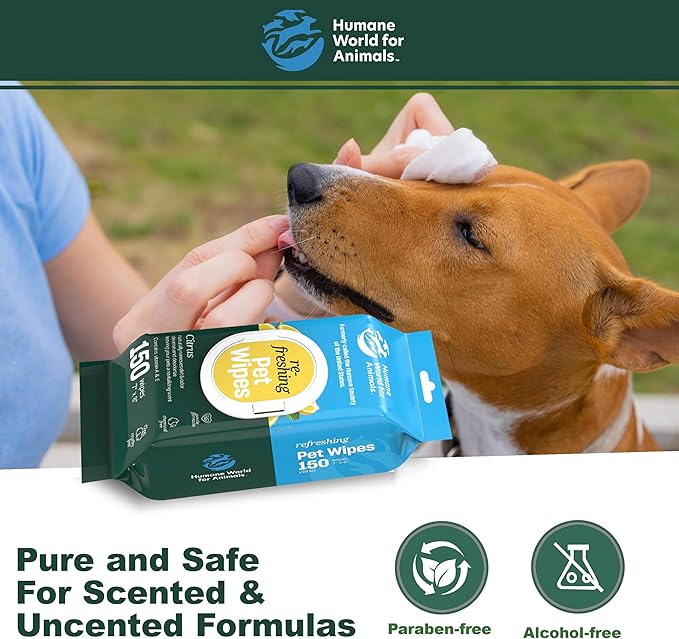 Humane World Pet Wipes - 450 Count, Hypoallergenic, Calming Lavender & Refreshing Citrus - Gentle Cleansing for Dogs & Cats