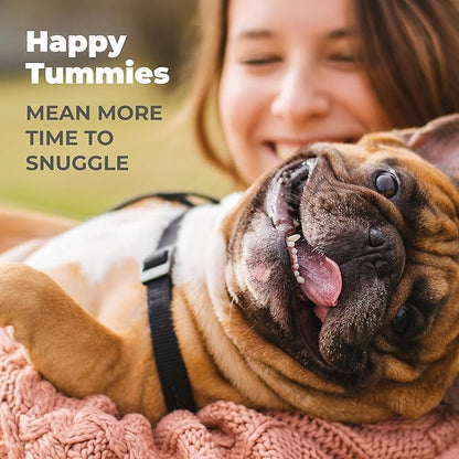 Vetnique Glandex Daily Probiotics for Dogs with Prebiotics to Support Gut Health with Fiber and Digestive Enzymes, Probiotic Chews or Powders (120ct Chews, Bacon Chews)