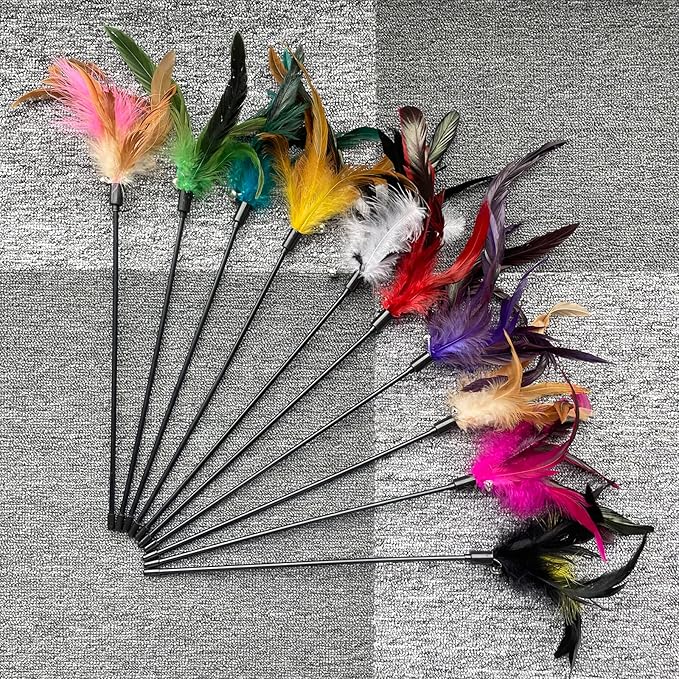 10-Pack Cat Feather Wand Toys with Bell, Natural Feather Interactive Teaser for Indoor Kittens Friendly Cat Toy