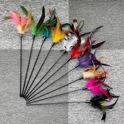 10-Pack Cat Feather Wand Toys with Bell, Natural Feather Interactive Teaser for Indoor Kittens Friendly Cat Toy