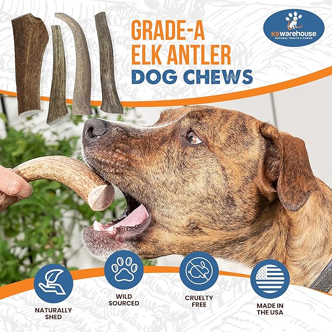 Elk Antlers for Dogs - Dog Antlers for Aggressive Chewers - USA Sourced Elk Antler for Dogs to Promote Oral Health - Long Lasting Antler Chews for Small, Medium, Large & XLarge Dogs
