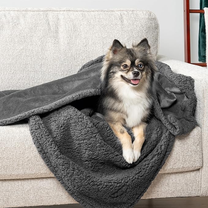 PetAmi Waterproof Dog Blanket for Small Medium Dog, Pet Puppy Blanket Couch Cover Protection, Sherpa Fleece Cat Blanket Couch Sofa Bed Furniture Protector Reversible Soft Washable 29x40 Grey Grey