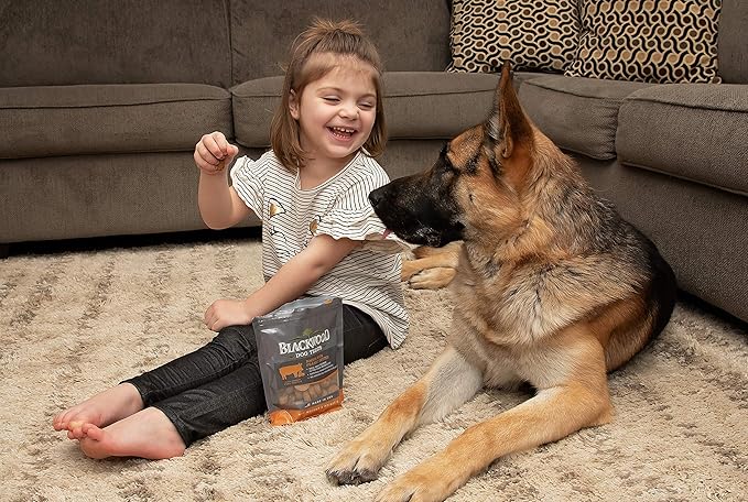 Blackwood Pet Food Oven Baked Dog Treats Made in USA [Natural Dog Treats for Healthy Snacks] Perfect for Dog Training Treats, Beef Liver with Salmon, Brown, Model Number: 22601