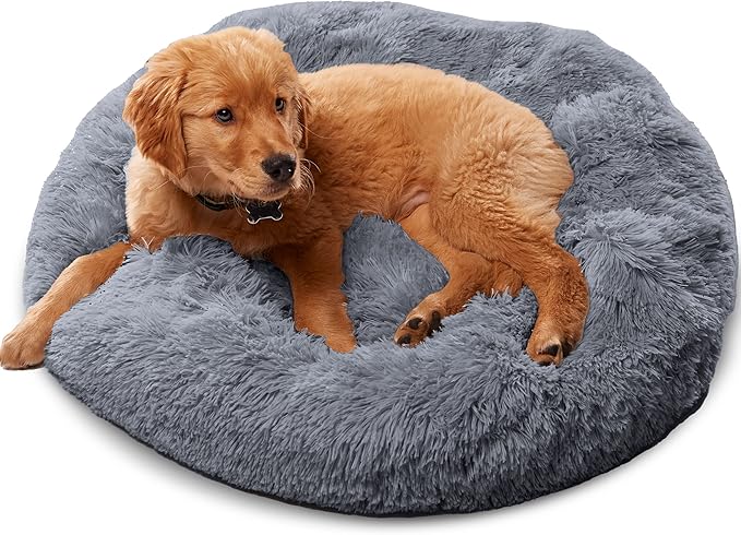 Premium Dog Beds for Large Dogs and Medium Dogs - Portable Dog Beds & Furniture - Fits up to 45 lbs, (Medium, Dark Grey)