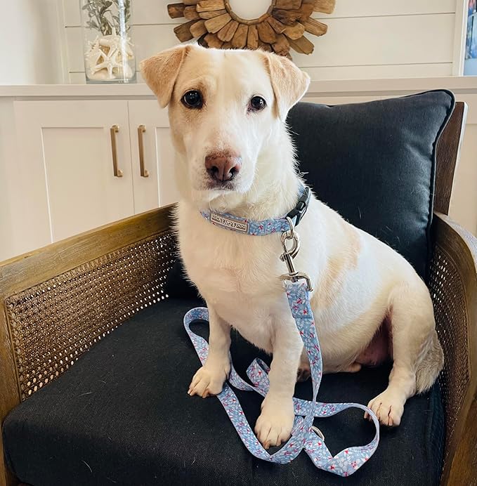 Lucky Love Dog Collar, Cute Winter Dog Collars for Large Dogs, Blue Snowflake Dog Collar for Male and Female Dogs, Part of Purchase Donated to Dog Rescue - (Winterblue Collar, L)