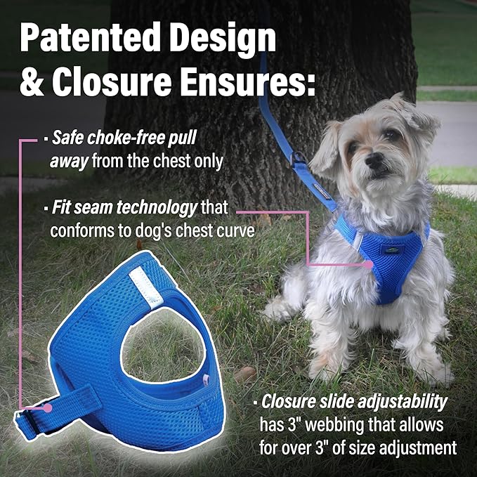 Doggie Design Dog Harness - No Choke Dog Harness, Dog Vest, Mesh Polyester, Pet Harness, Simple Step in and Go Design, Harness for Dog - Cobalt Blue, L