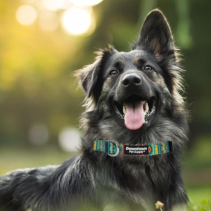 Downtown Pet Supply - Best, Cute & Fancy Dog Collar - Lightweight Adjustable Dog Collar with Quick Buckle & D-Ring - Hand Wash Safe - Tribal - M - Medium Dog Collar