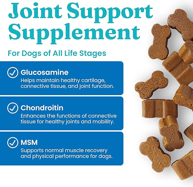 Solid Gold Glucosamine for Dogs Hip and Joint Supplement - Glucosamine Chondroitin MSM for Dog Pain Relief - Leaps & Hounds Chews for Dog Arthritis Pain Relief & Overall Mobility - 60 Count