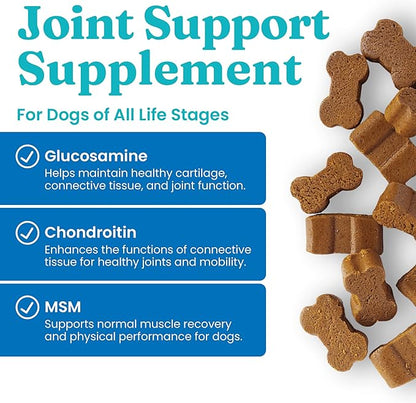 Solid Gold Glucosamine for Dogs Hip and Joint Supplement - Glucosamine Chondroitin MSM for Dog Pain Relief - Leaps & Hounds Chews for Dog Arthritis Pain Relief & Overall Mobility - 60 Count