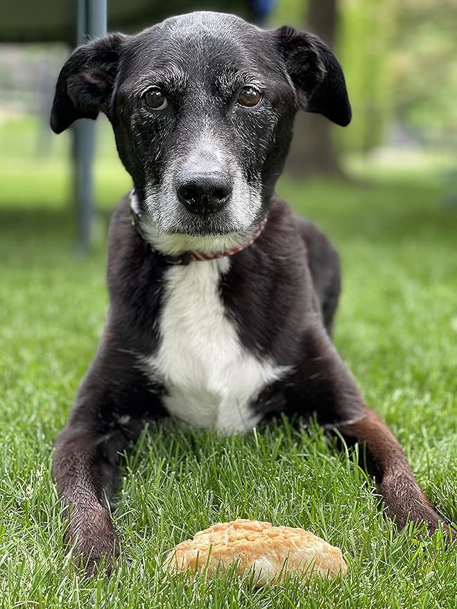 Devil Dog Pet Co. HimalayaFn Yak Chews Nuggets 1 Pound Bag  Natural & Nutrient Dense Dog Treats, Cheesy Himalayan Yak Puffs  Promotes Dental Health, Easy to Digest & Suitable for All Dogs