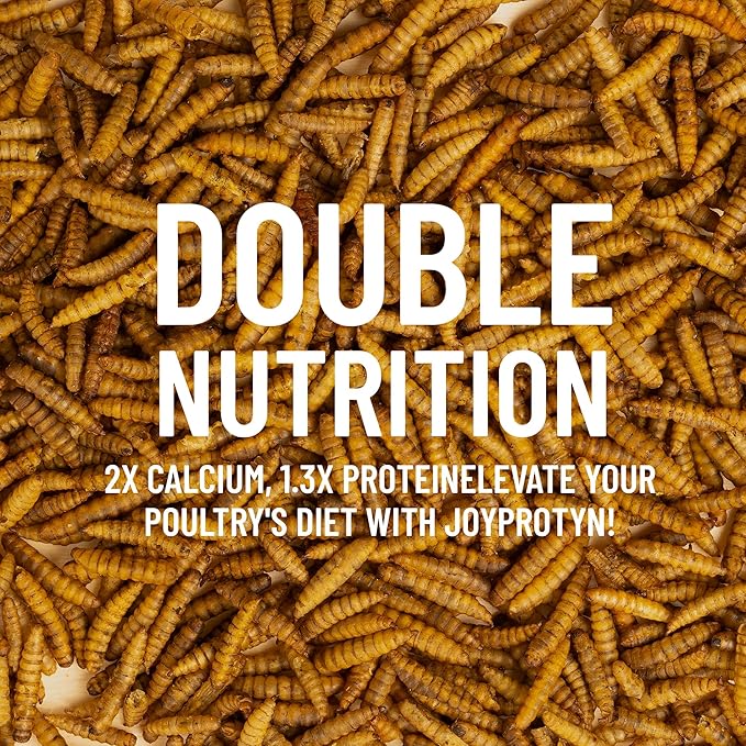 5LB Non-GMO Dried Black Soldier Fly Larvae for Chicken  85X More Calcium Grubs Than Mealworms for Strong Eggshells & Healthy Growth - High Protein for Chickens, Birds, Ducks, Geese & Pets