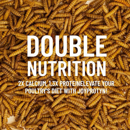 5LB Non-GMO Dried Black Soldier Fly Larvae for Chicken  85X More Calcium Grubs Than Mealworms for Strong Eggshells & Healthy Growth - High Protein for Chickens, Birds, Ducks, Geese & Pets