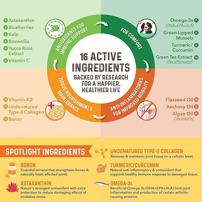 Bernie's Healthy HIPS - Daily Dog Hip & Joint Supplement - 90 Soft Chews - Reduce Pain, Encourage Mobility, Slow Damage, Repair and Rebuild HIPS & Joint Tissues