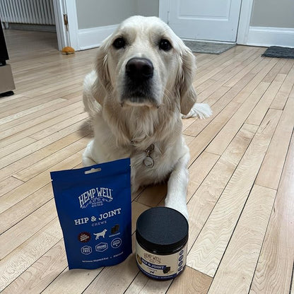 Hemp Well Hip and Joint Soft Chews – Best Joint Supplement for Dogs, Organically Sourced with Hemp, Glucosamine, Chondroitin and Breed Dogs, 30 Count