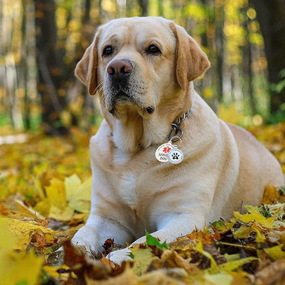 Dog Tags Personalized QR Code and Do Not Pet Dog Tags, Modifiable Pet Online Profile, Multiple Emergency Contact, Scan QR Code Send Pet GPS Location Email