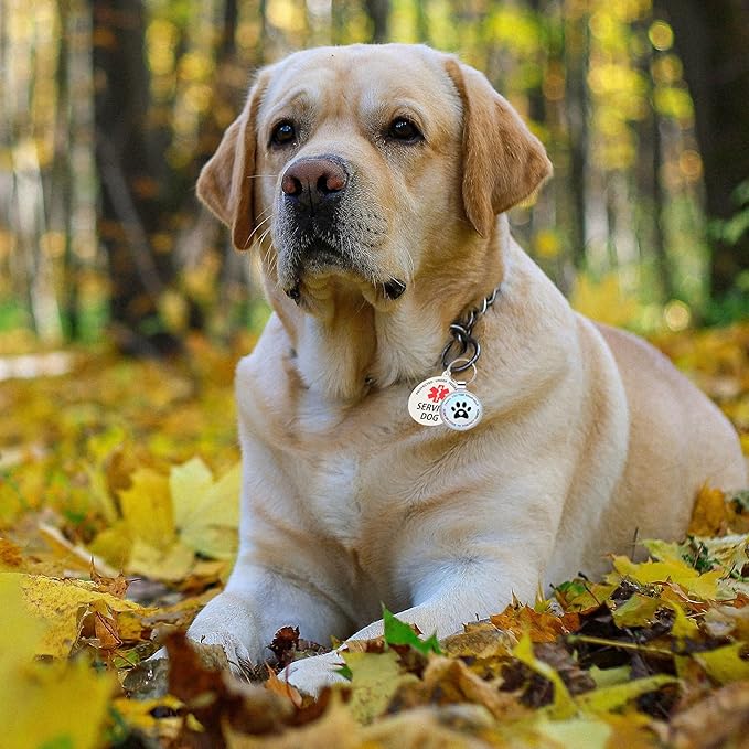 Dog Tags Personalized QR Code and ESA Dog Tags, Modifiable Pet Online Profile, Multiple Emergency Contact, Scan QR Code Send Pet GPS Location Email