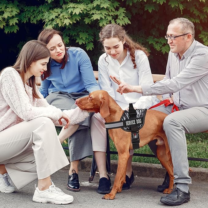 Dogline Unimax Dog Harness Vest with Service Dog Patches Reflective No-Pull, Adjustable Straps, Breathable Neoprene for Medical, Service, Identification and Training Dogs Girth 18 to 25" Zebra