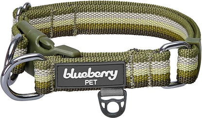 Blueberry Pet 3M Reflective Dog Collars | Adjustable Dog Collar w/Multi-Colored Stripe - Olive | Nylon Pet Collars for Dogs & Refflective Dog Collar for X-Large Dogs
