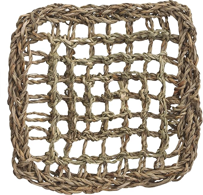 Super Bird Creations SB50001 Seagrass Mat for Cage Decor, Pet Enrichment and Boredom Relief - Versatile Toy-Making Base - Ideal for Parrots - Small to Large Birds & Reptiles - 7"x7" (1 Pack)