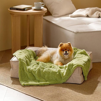 Bedsure Dog Blanket for Small Dogs Washable - Soft Fluffy Puppy Blanket with Premium 300GSM Coral Fleece, Cozy Calming Cat Blankets for Indoor Cats, Fuzzy Pet Blanket for Kitten Doggy, Green, 25x35IN