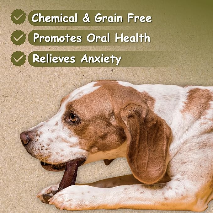 Top Dog Chews - 12 Inch Bully Sticks 50 Pack- Long Lasting, Free Range, All Natural Dog Treat, Single Ingredient, Rawhide Free, Great for Aggressive Chewers, Bulk Dog Treats.