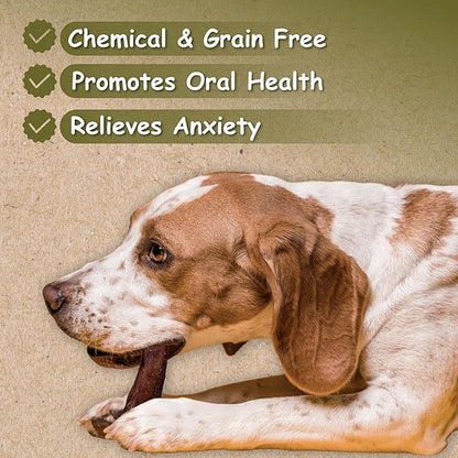 Top Dog Chews - 12 Inch Bully Sticks 50 Pack- Long Lasting, Free Range, All Natural Dog Treat, Single Ingredient, Rawhide Free, Great for Aggressive Chewers, Bulk Dog Treats.