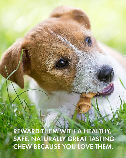 Canine Naturals Chicken Recipe Chew - Rawhide Free Dog Treats - Made from USA Raised Chicken - All-Natural and Easily Digestible - 12 Pack of Mini Knots for Dogs 5-20lb