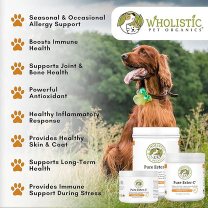 Wholistic Pet Organics Pure Ester-C Powder for Dogs - 1 Lb - Healthy Alternative to Dog Allergy Chews - Vitamin C Supplement for Dog Allergy Relief, Immune Support, Itch Relief for Dogs - Made in USA