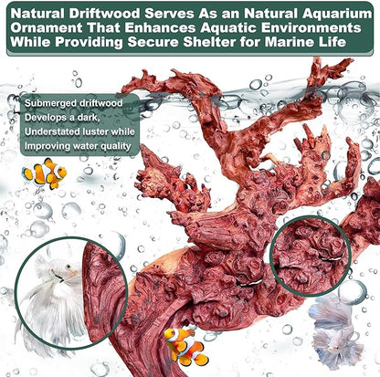 Natural Wood Coral Driftwood for Aquarium Fish Tank Decor,Assorted Driftwood Branch for Reptile Decor (Coral Driftwood Large (14 to18 Inch)-Pack of 1)